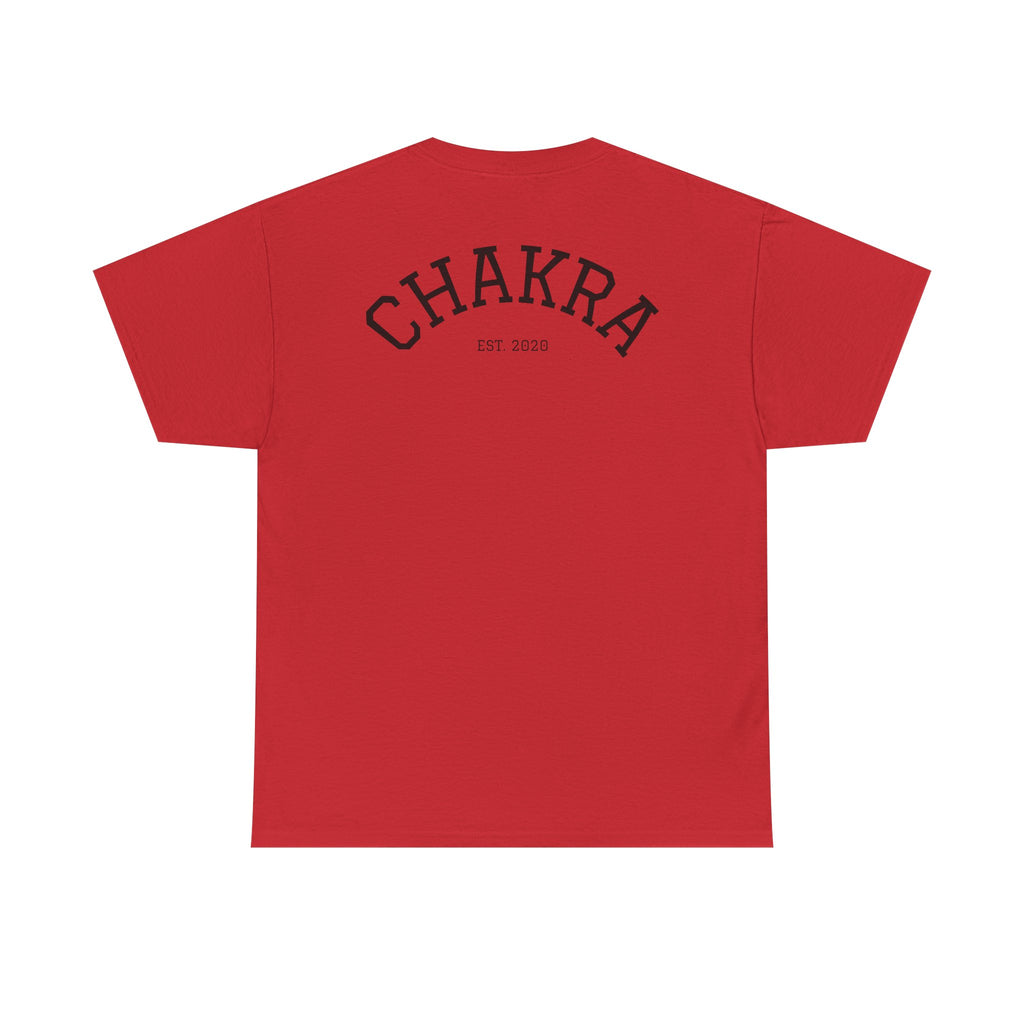 Chakra Cat Tee - Unisex Heavy Cotton T-Shirt, Trendy Graphic Tee, Cat Lovers Gift, Spiritual Vibe Shirt, Fun Everyday Wear