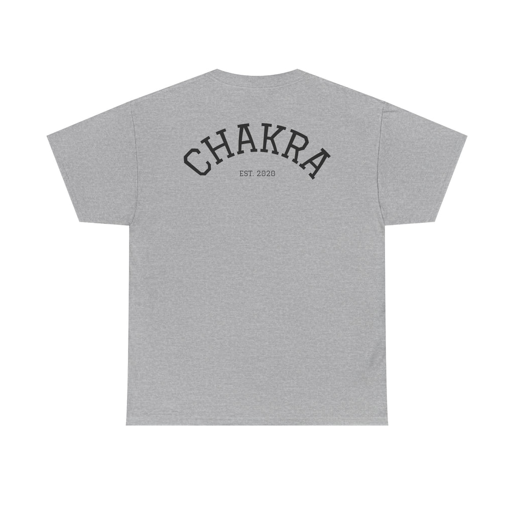 Chakra Cat Tee - Unisex Heavy Cotton T-Shirt, Trendy Graphic Tee, Cat Lovers Gift, Spiritual Vibe Shirt, Fun Everyday Wear