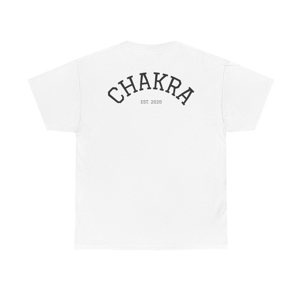 Chakra Cat Tee - Unisex Heavy Cotton T-Shirt, Trendy Graphic Tee, Cat Lovers Gift, Spiritual Vibe Shirt, Fun Everyday Wear