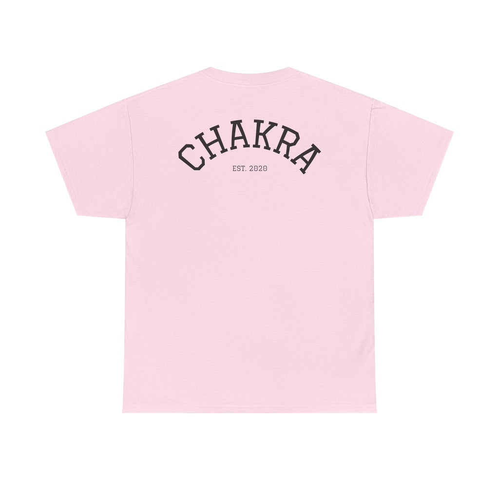 Chakra Cat Tee - Unisex Heavy Cotton T-Shirt, Trendy Graphic Tee, Cat Lovers Gift, Spiritual Vibe Shirt, Fun Everyday Wear