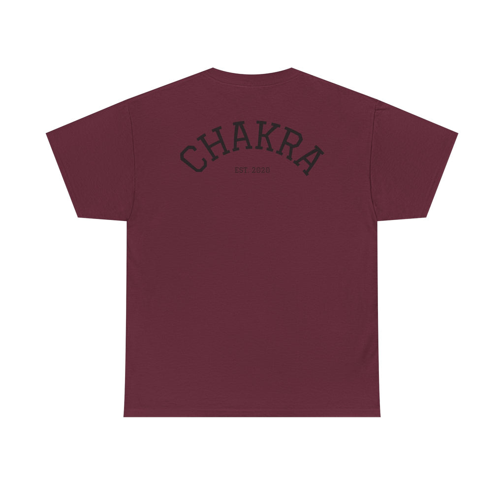 Chakra Cat Tee - Unisex Heavy Cotton T-Shirt, Trendy Graphic Tee, Cat Lovers Gift, Spiritual Vibe Shirt, Fun Everyday Wear