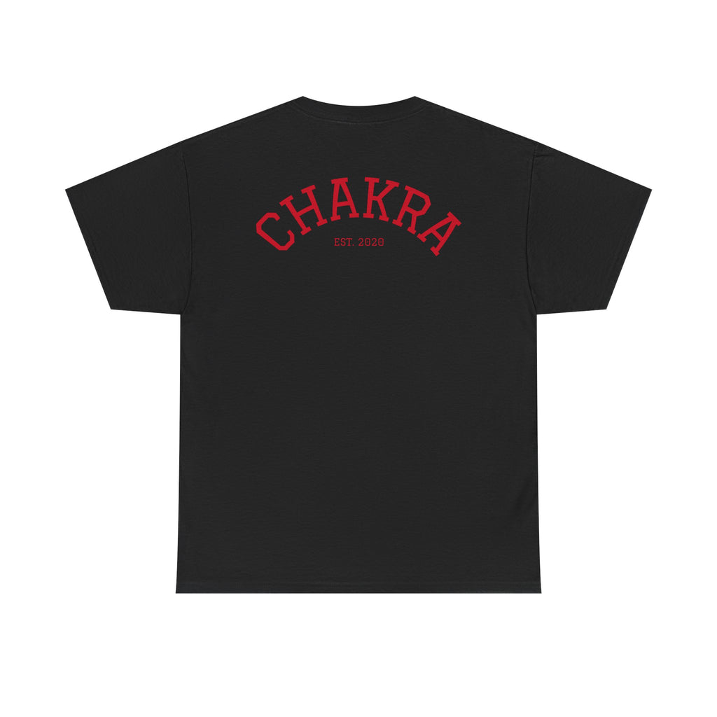 Chakra Cat Tee - Unisex Heavy Cotton T-Shirt, Trendy Graphic Tee, Cat Lovers Gift, Spiritual Vibe Shirt, Fun Everyday Wear
