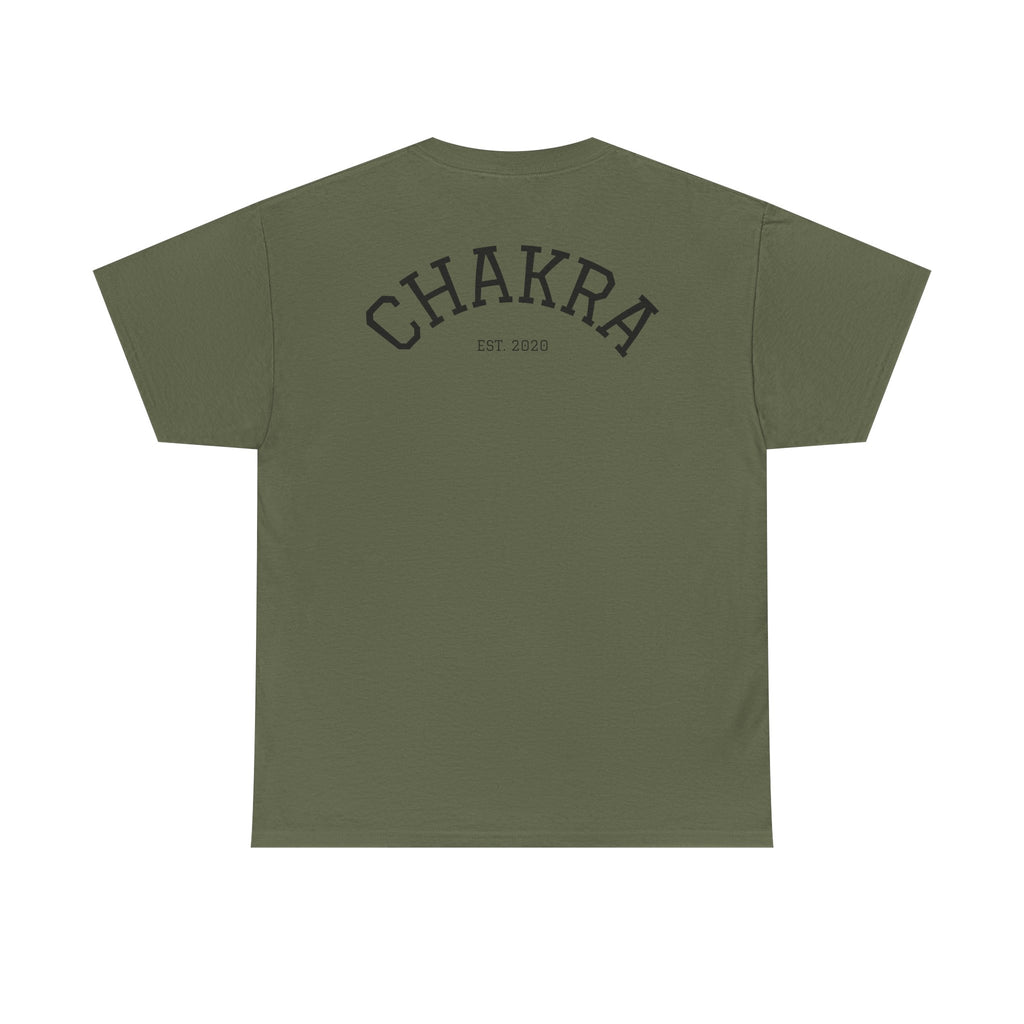Chakra Cat Tee - Unisex Heavy Cotton T-Shirt, Trendy Graphic Tee, Cat Lovers Gift, Spiritual Vibe Shirt, Fun Everyday Wear