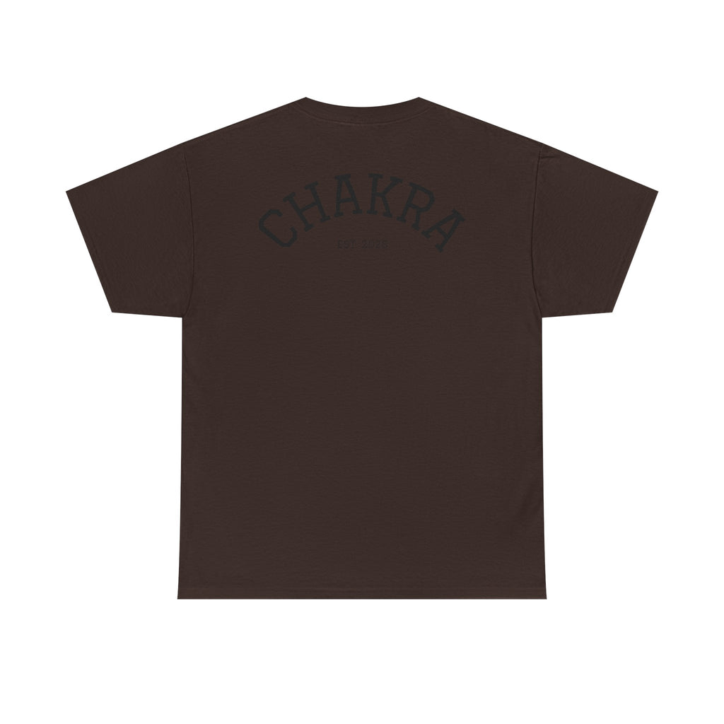 Chakra Cat Tee - Unisex Heavy Cotton T-Shirt, Trendy Graphic Tee, Cat Lovers Gift, Spiritual Vibe Shirt, Fun Everyday Wear
