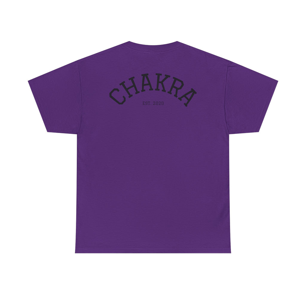 Chakra Cat Tee - Unisex Heavy Cotton T-Shirt, Trendy Graphic Tee, Cat Lovers Gift, Spiritual Vibe Shirt, Fun Everyday Wear