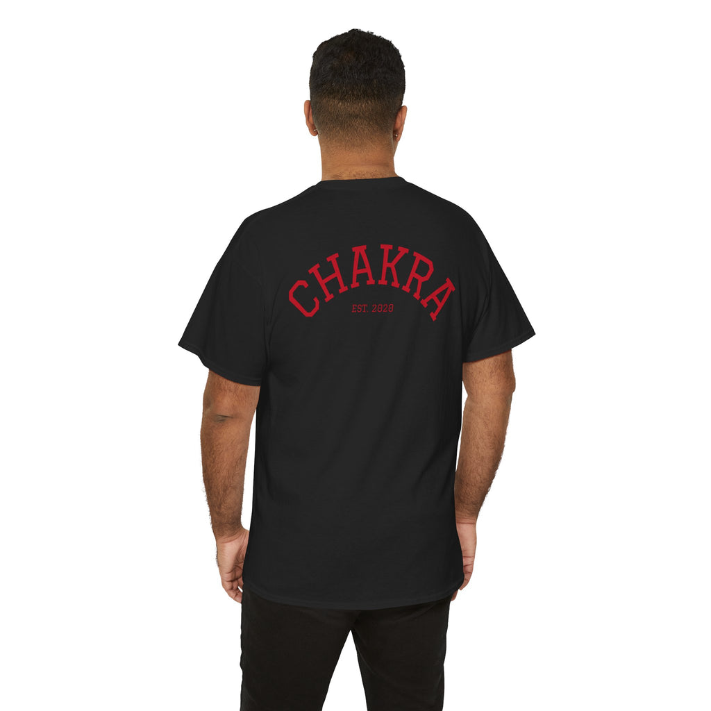Chakra Cat Tee - Unisex Heavy Cotton T-Shirt, Trendy Graphic Tee, Cat Lovers Gift, Spiritual Vibe Shirt, Fun Everyday Wear